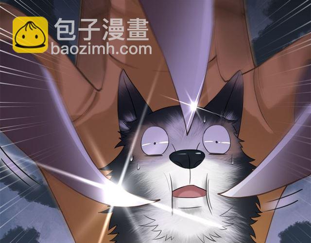 《极品废材小姐》第108话 欧夜辰回来了？！ 第50页