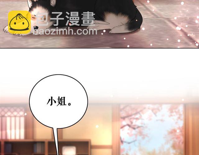 《极品废材小姐》第113话 令人头痛的婚契 第11页