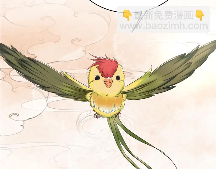 《极品废材小姐》第162话 你才是我最重要的 第11页