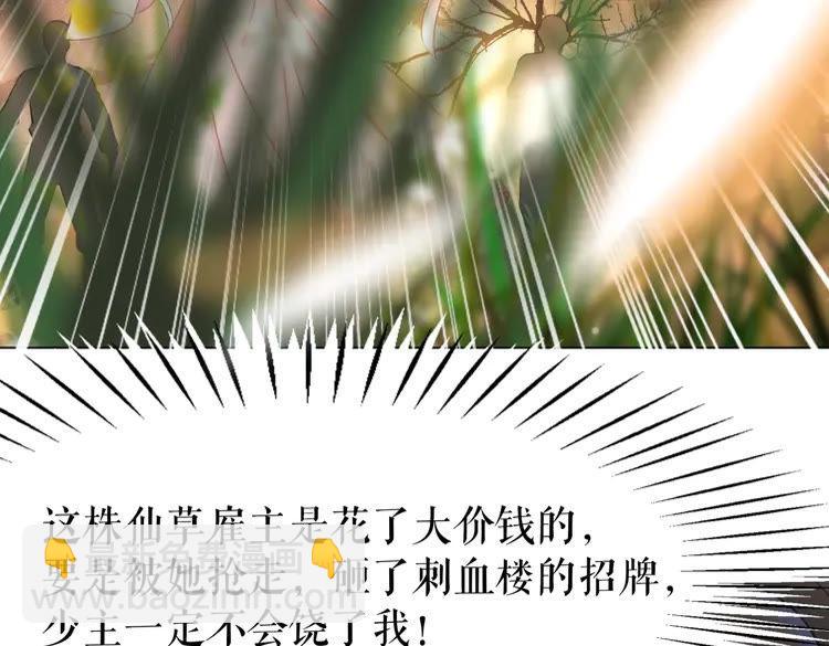 《极品废材小姐》第147话 神秘少主 第20页