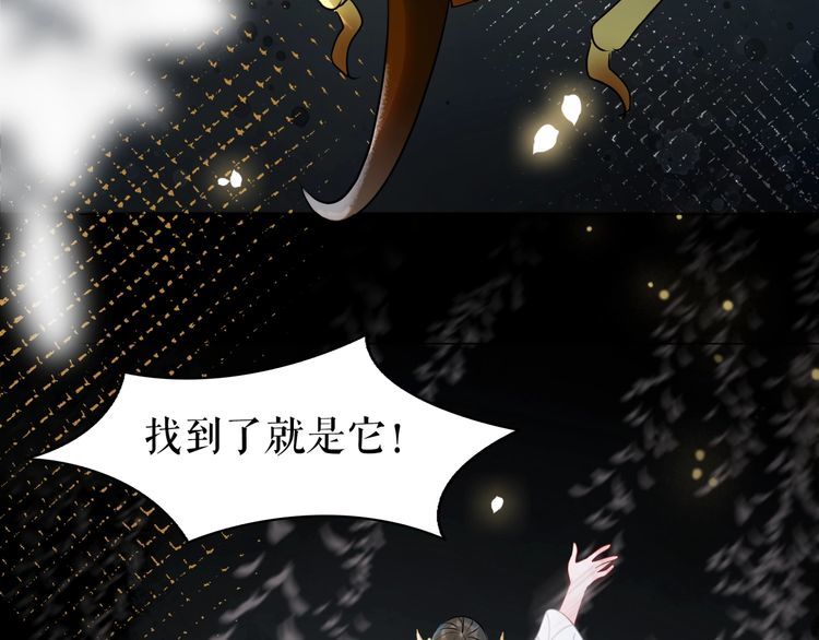 《极品废材小姐》第201话 新的伙伴？ 第36页