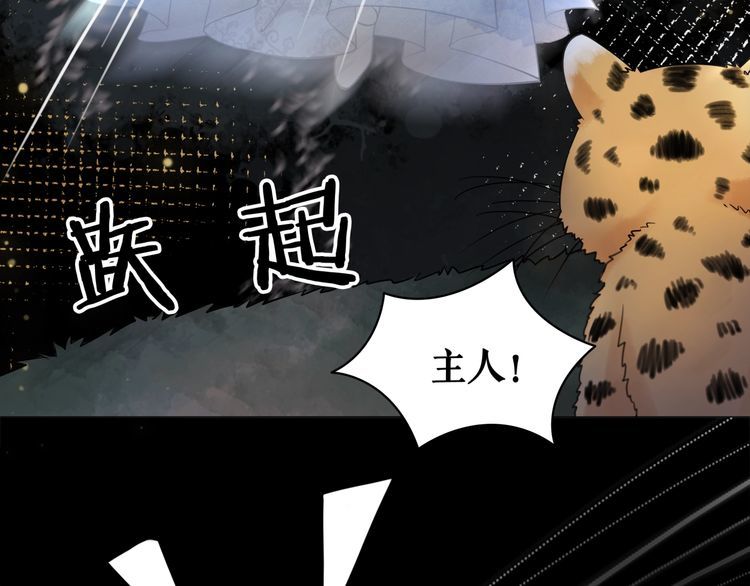 《极品废材小姐》第201话 新的伙伴？ 第38页