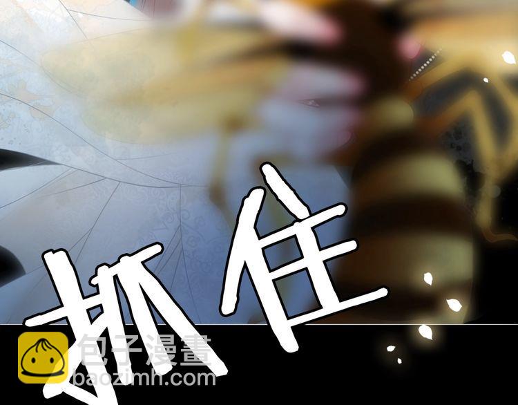 《极品废材小姐》第201话 新的伙伴？ 第42页