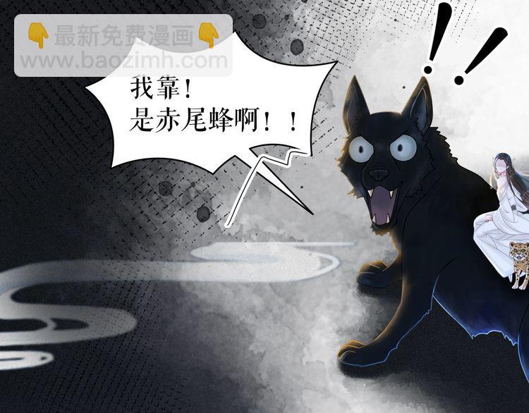 《极品废材小姐》第201话 新的伙伴？ 第4页