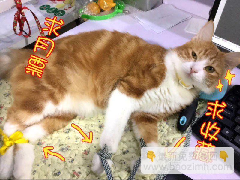 《木兰无长兄》41木兰的新烦恼（中） 第14页
