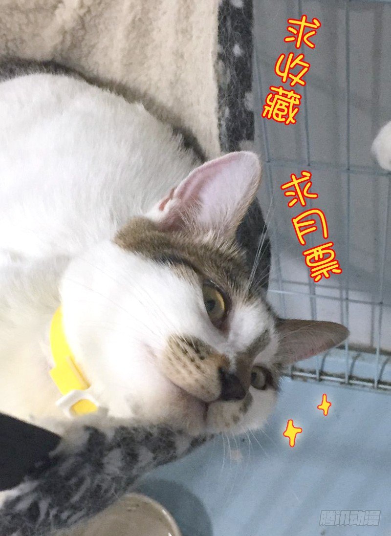 《木兰无长兄》46第一位火伴（四） 第14页