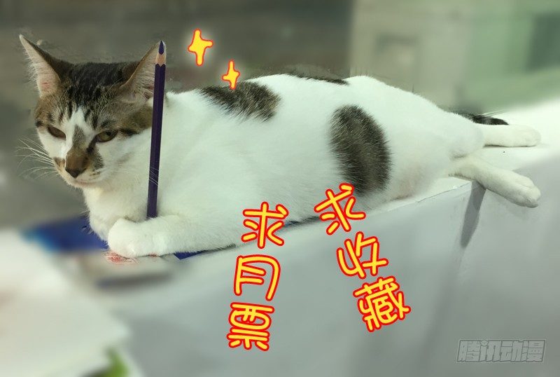 《木兰无长兄》47第一位火伴（五） 第16页