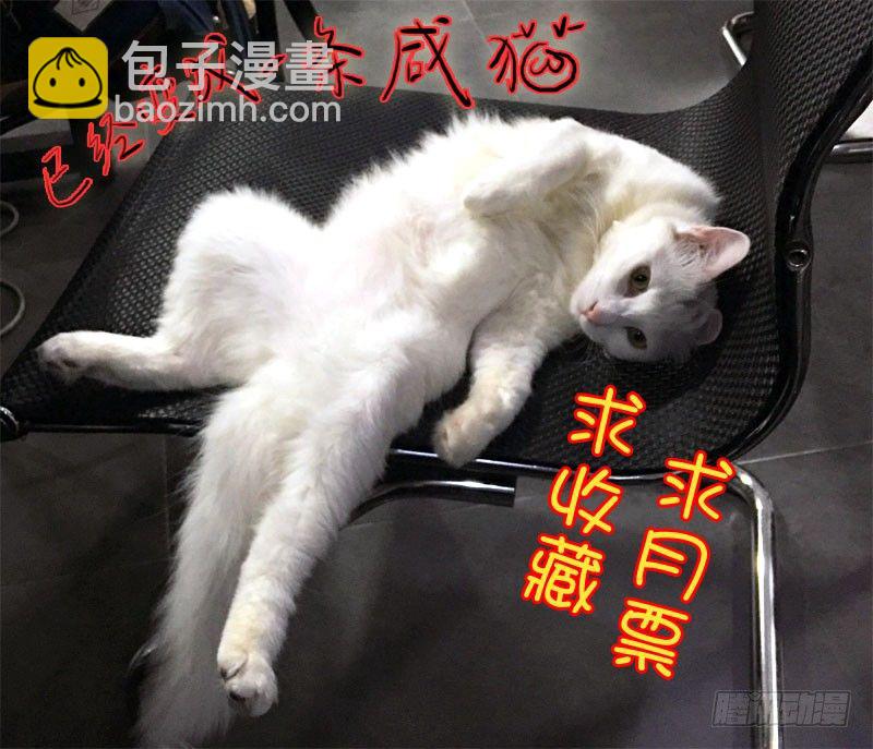 《木兰无长兄》48第一位火伴（六） 第13页