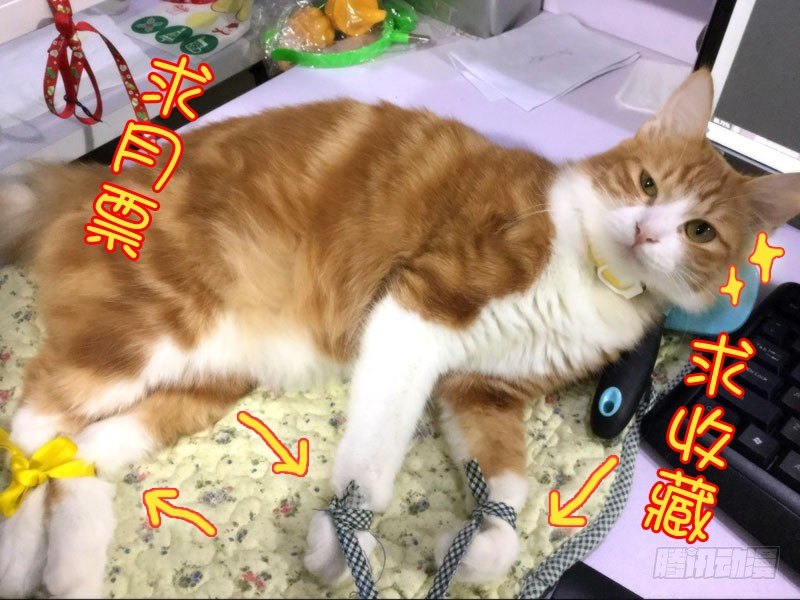 《木兰无长兄》49我的保护神（上） 第10页