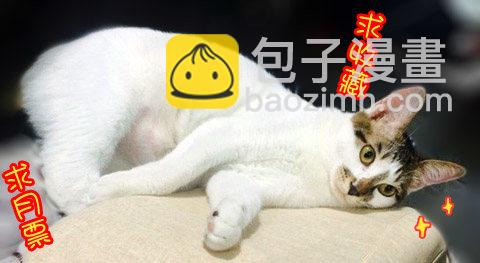 《木兰无长兄》53奇怪的少年（上） 第13页