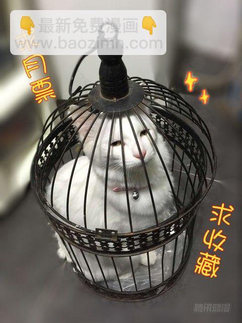 《木兰无长兄》57贺光的第一次（三） 第11页