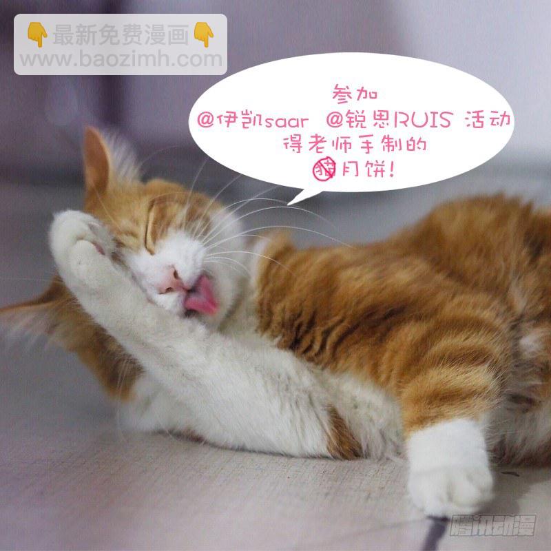 《木兰无长兄》72故友（一） 第13页