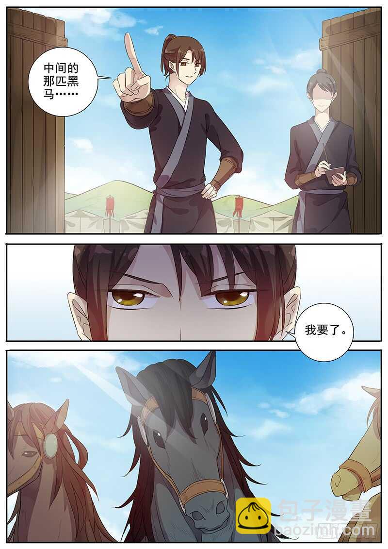 《木兰无长兄》250我的战马 第2页