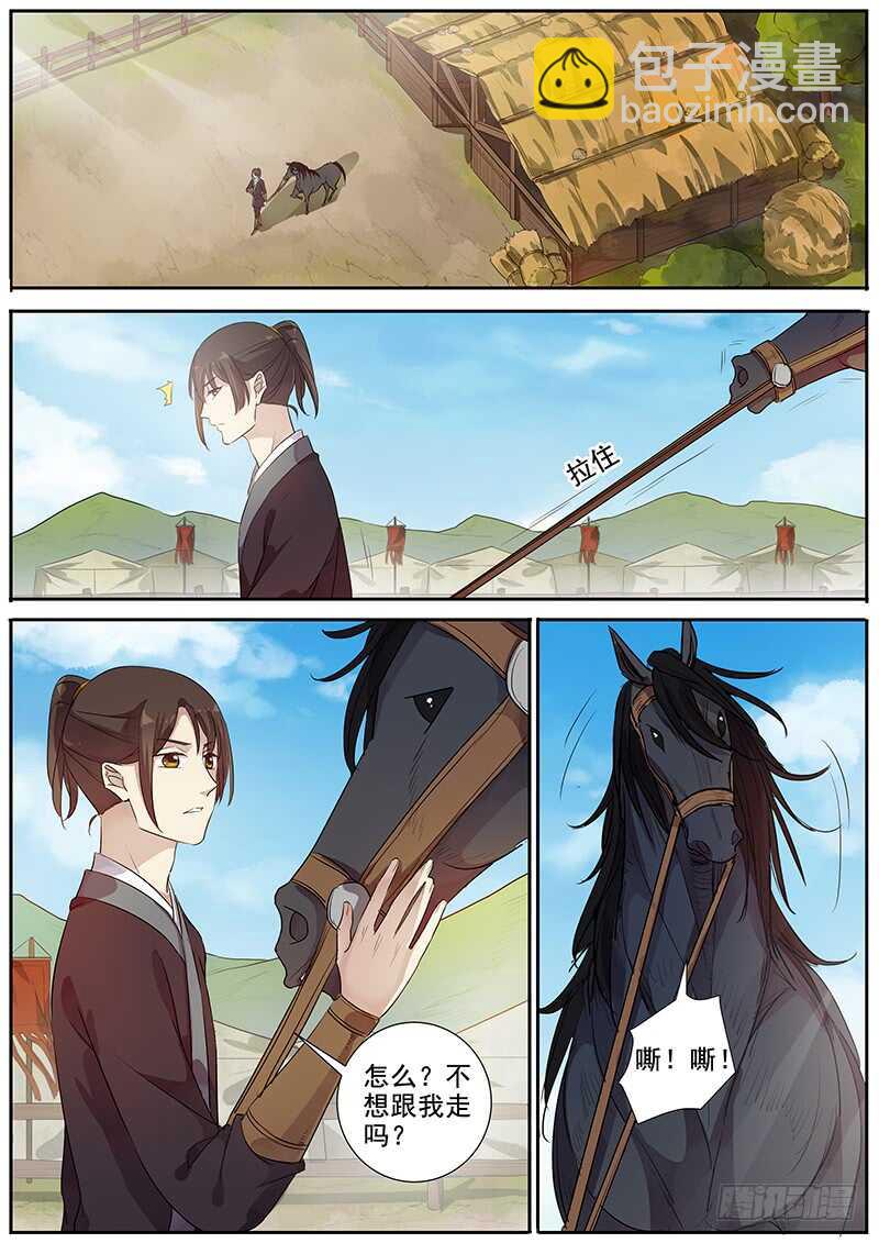 《木兰无长兄》250我的战马 第3页