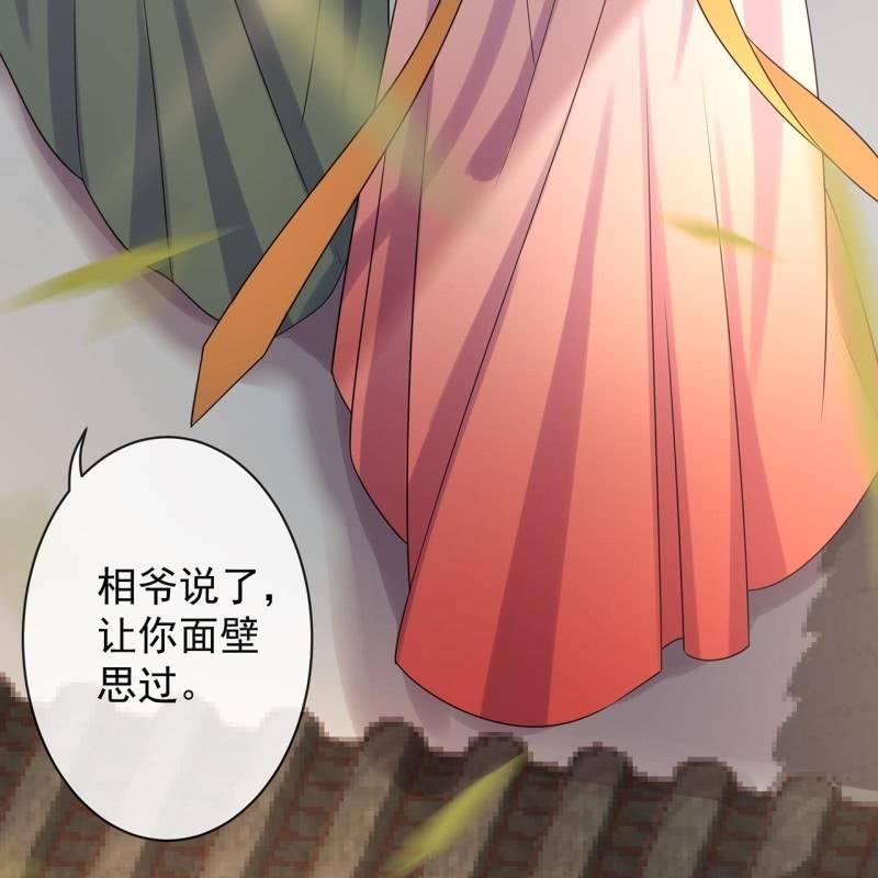 《傲娇王爷太难追》第33话 面壁又思过 第7页