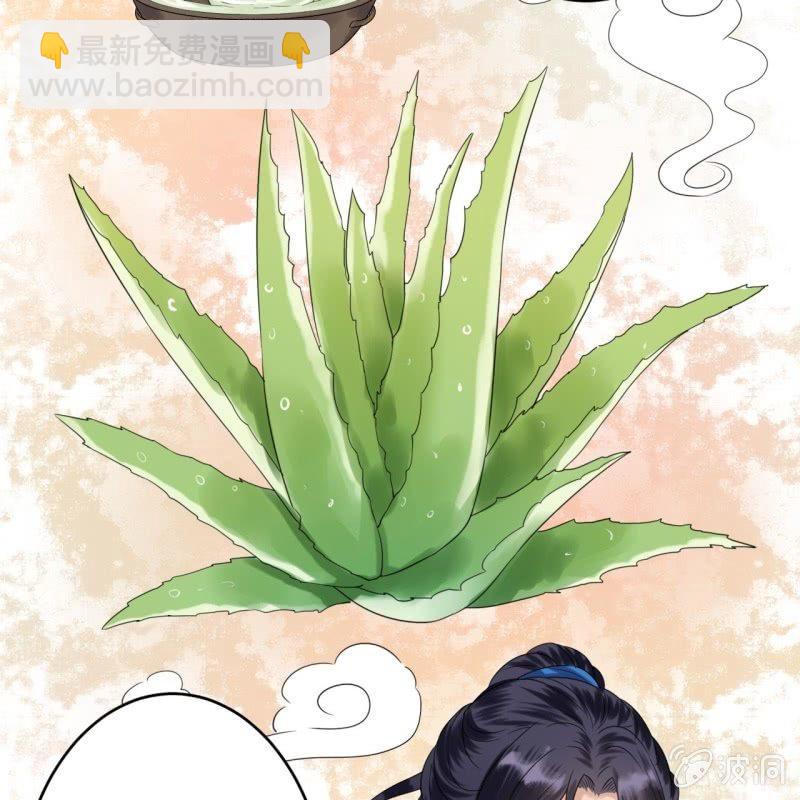 《傲娇王爷太难追》第62话 高能芦荟胶 第5页