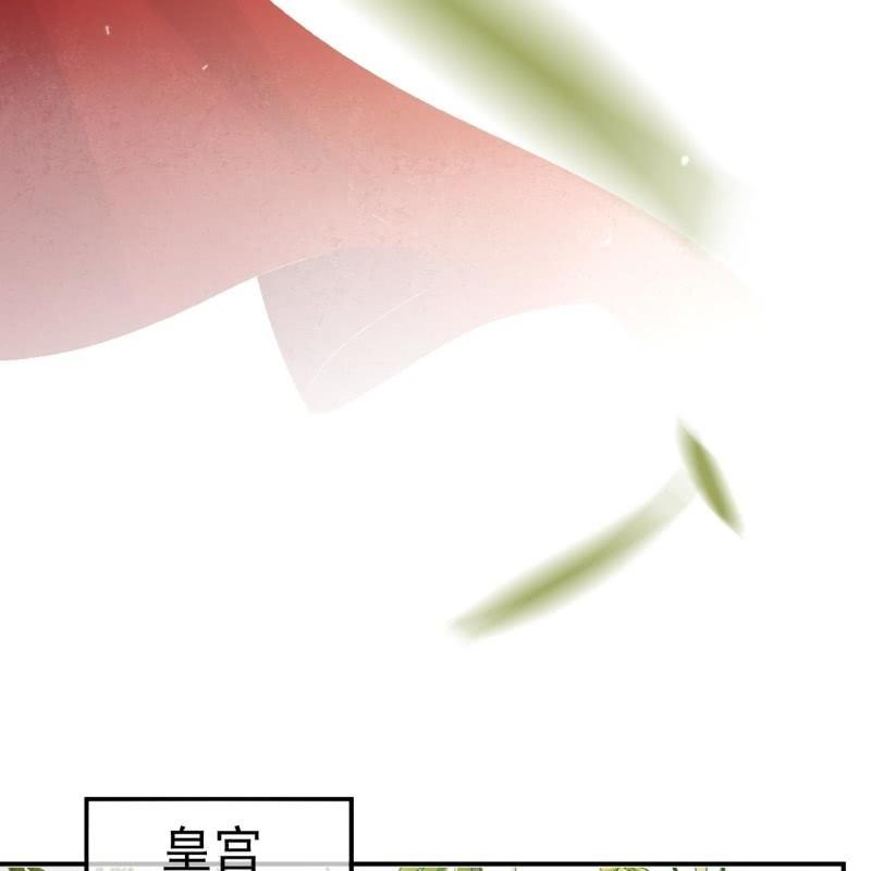 《傲娇王爷太难追》第90话 入宫救人 第12页