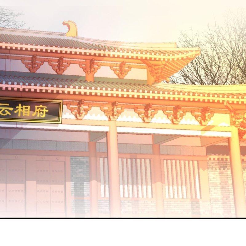 《傲娇王爷太难追》第100话 赶回相府 第30页
