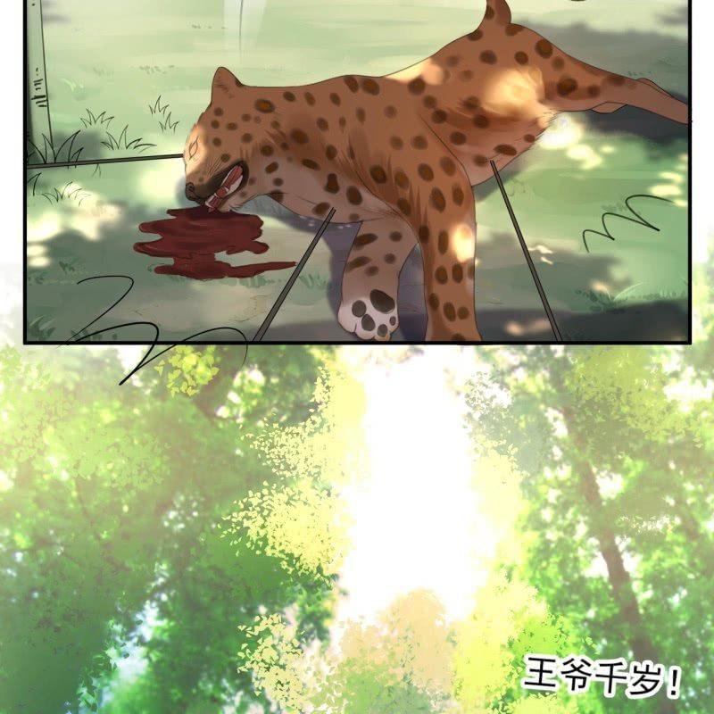 《傲娇王爷太难追》第119话 暗箭难防 第19页