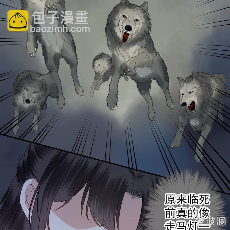 《傲娇王爷太难追》第124话 狼来了 第17页