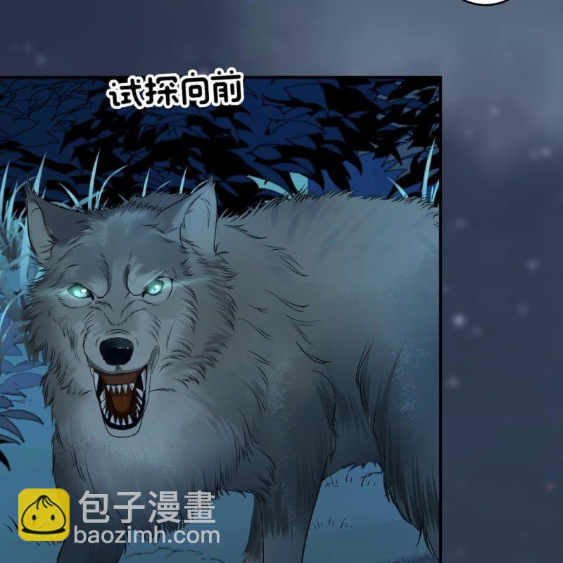 《傲娇王爷太难追》第124话 狼来了 第28页