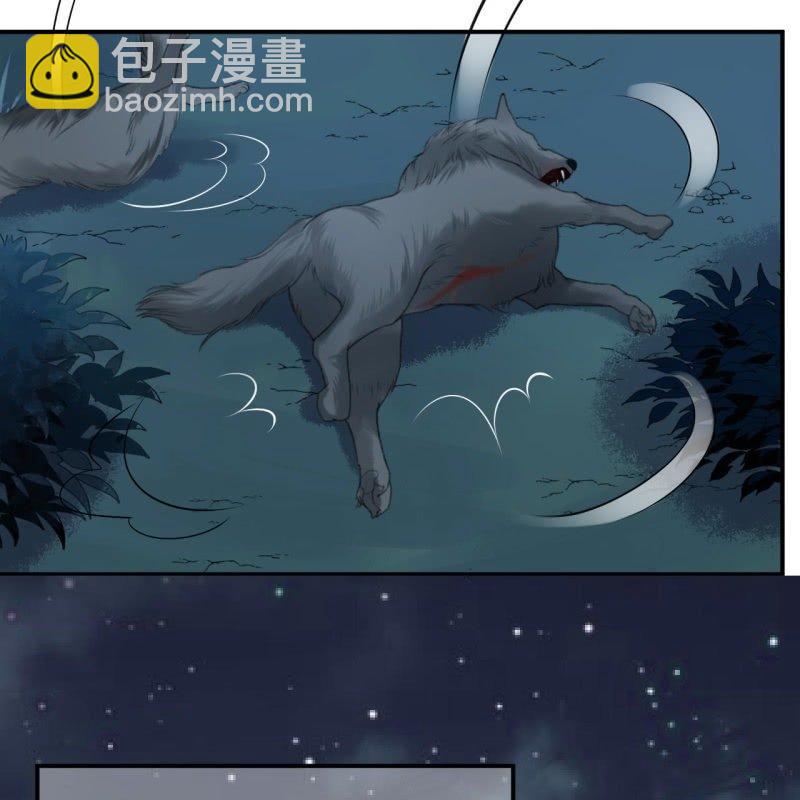 《傲娇王爷太难追》第124话 狼来了 第34页