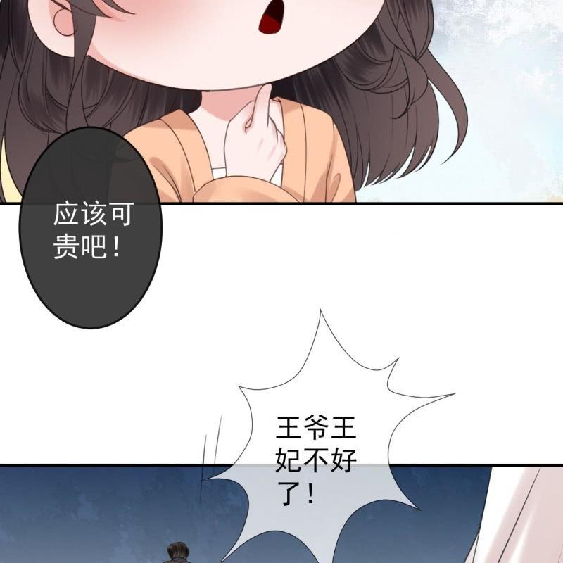 《傲娇王爷太难追》第145话 东边日出西边雨 第47页