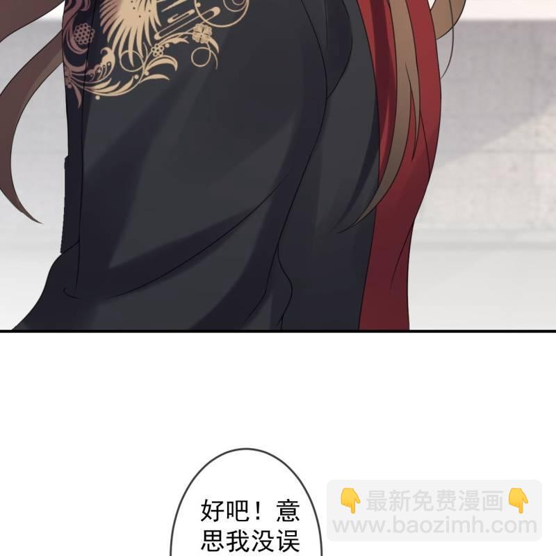 《傲娇王爷太难追》第150话 大局已定 第30页