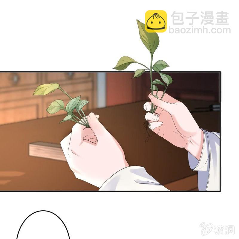 《傲娇王爷太难追》第160话 辨认药草 第41页