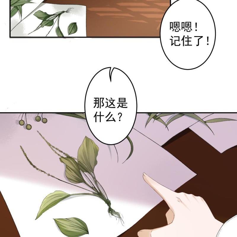 《傲娇王爷太难追》第160话 辨认药草 第43页