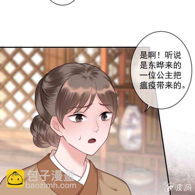 《傲娇王爷太难追》第220话 公主！瘟疫？ 第29页
