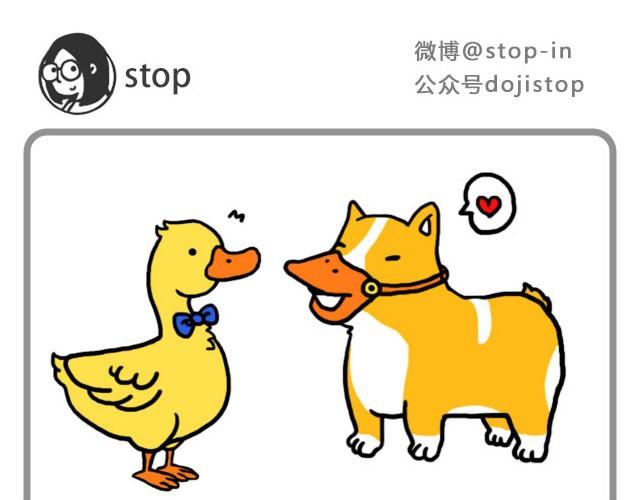 《嗨，我喜欢你》爱你自己本来的样子 第1页