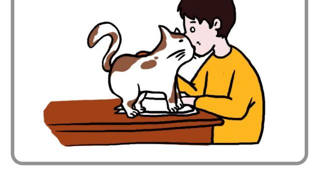 《嗨，我喜欢你》无处不在的小温暖 第4页