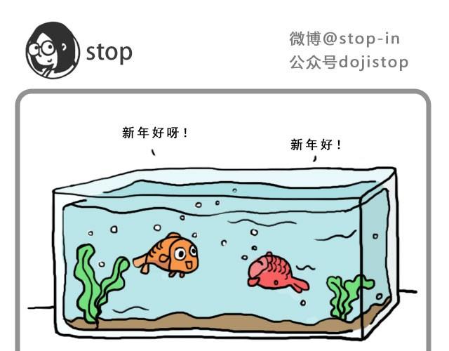 《嗨，我喜欢你》新年好 第5页