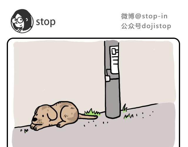 《嗨，我喜欢你》单身狗保护协会 第1页