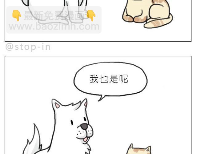 《嗨，我喜欢你》我最害怕的是再也找不到你了 第12页