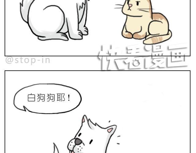 《嗨，我喜欢你》我最害怕的是再也找不到你了 第13页