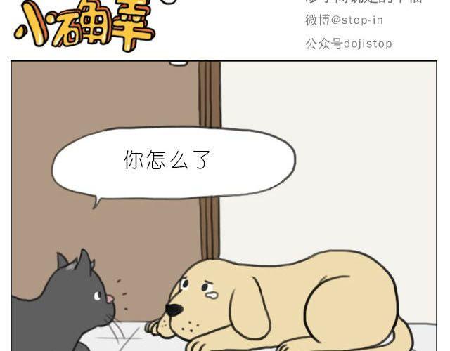 《嗨，我喜欢你》在他回来之前我陪你 第15页