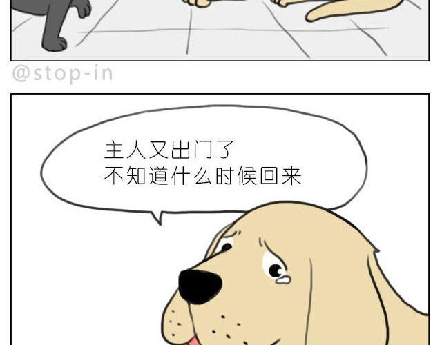 《嗨，我喜欢你》在他回来之前我陪你 第16页