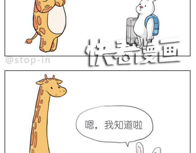 《嗨，我喜欢你》总会有一个人，再默默地等你 第13页