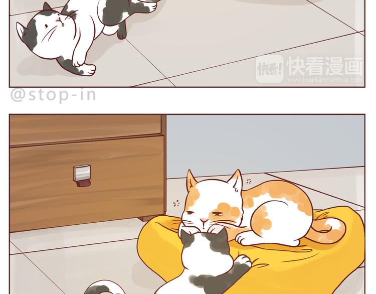 《嗨，我喜欢你》和你在一起的时光 第8页