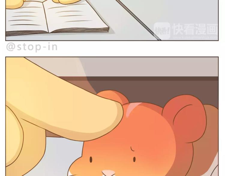 《嗨，我喜欢你》第178话 小笨蛋，我爱你 第17页