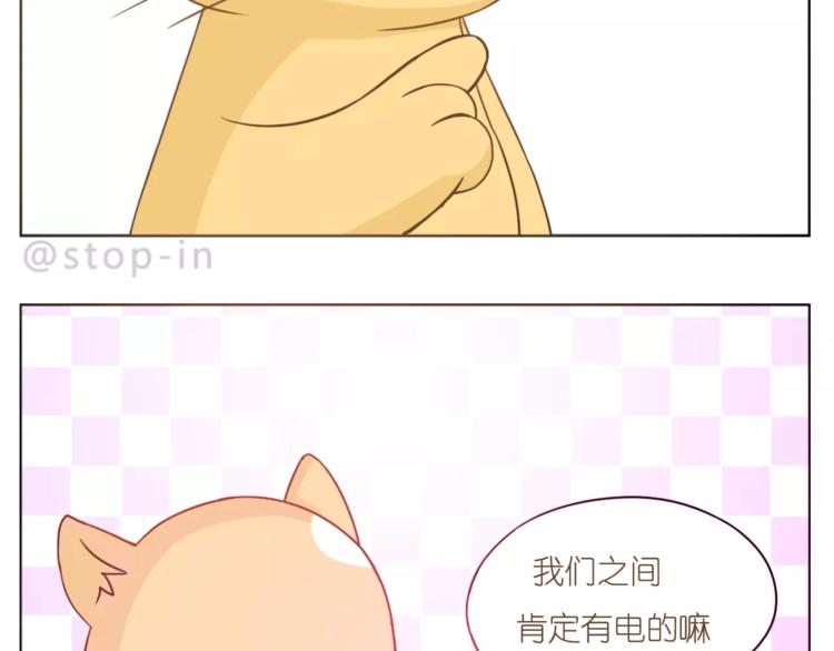 《嗨，我喜欢你》第179话 遇见你是我的幸运 第19页