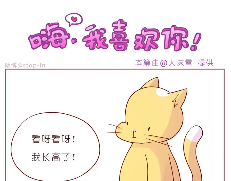 《嗨，我喜欢你》第237话我就喜欢你的样子 第16页