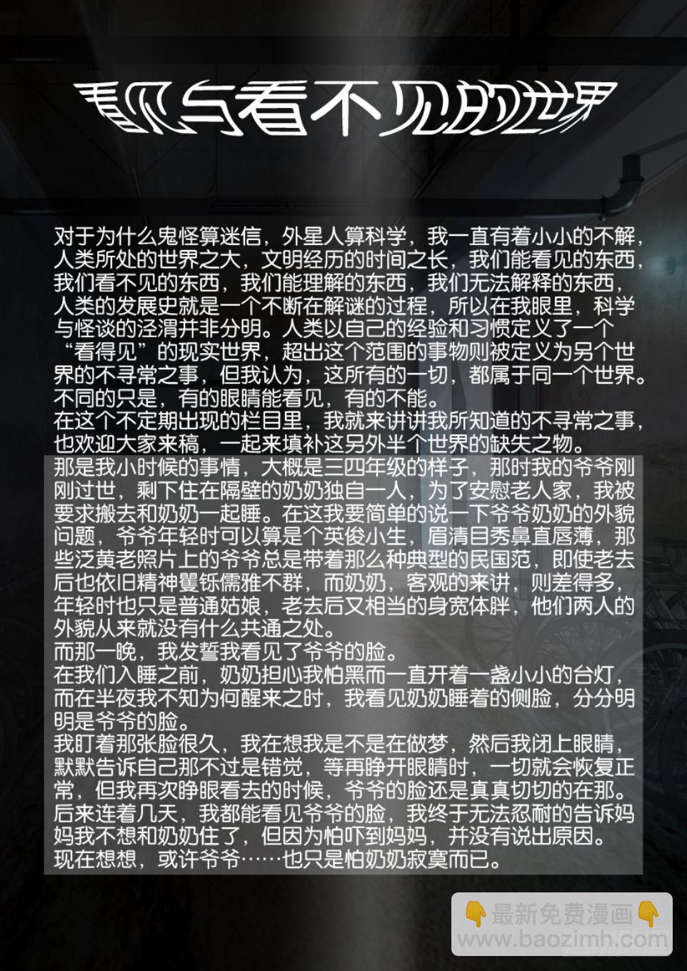 《罗刹之眼》第五十六回 被遮住的一半世界 第11页