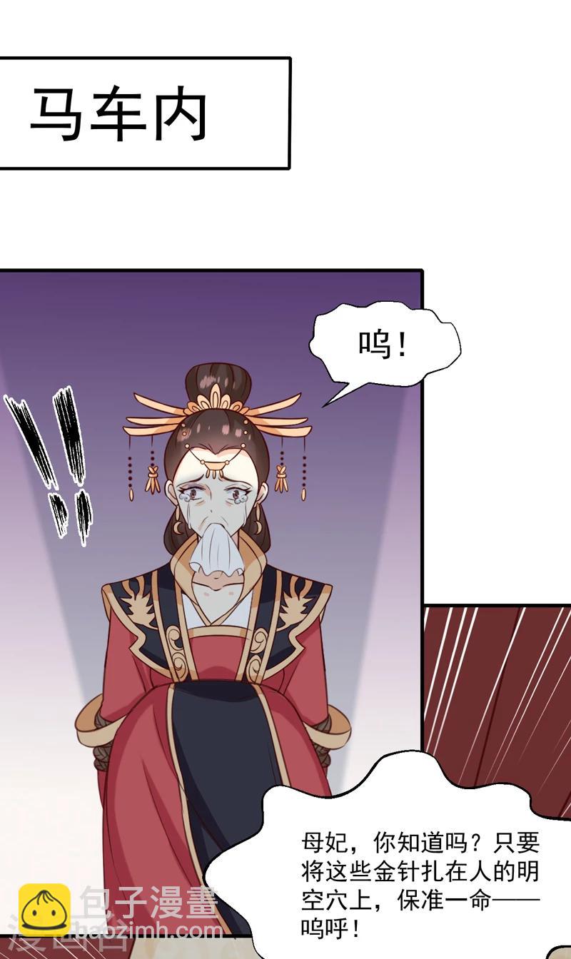 《天才小毒妃之芸汐传奇》第149话 遇袭 第10页
