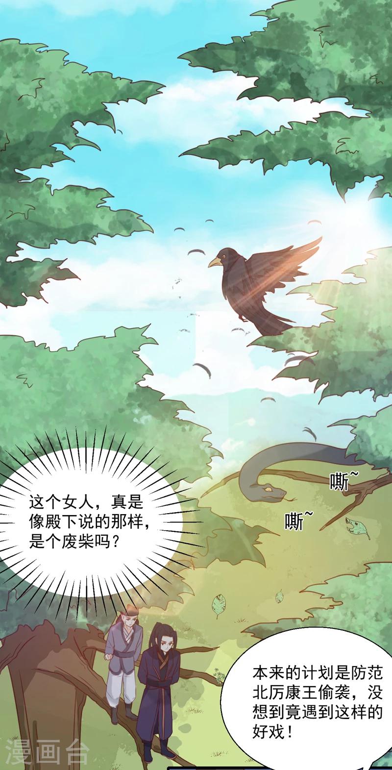 《天才小毒妃之芸汐传奇》第149话 遇袭 第7页