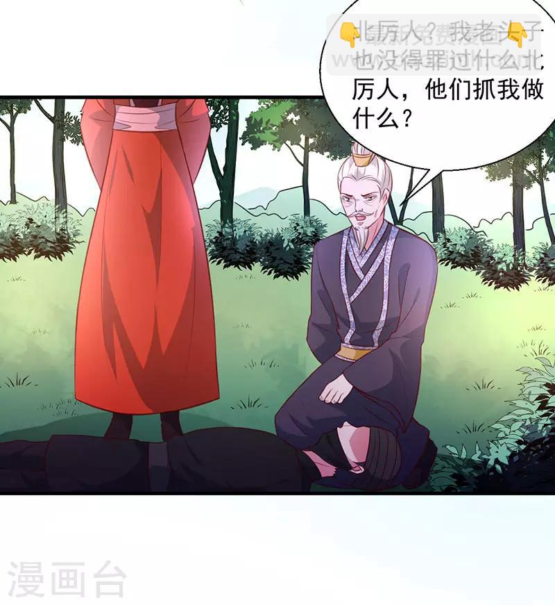 《天才小毒妃之芸汐传奇》第165话 太子被劫 第28页