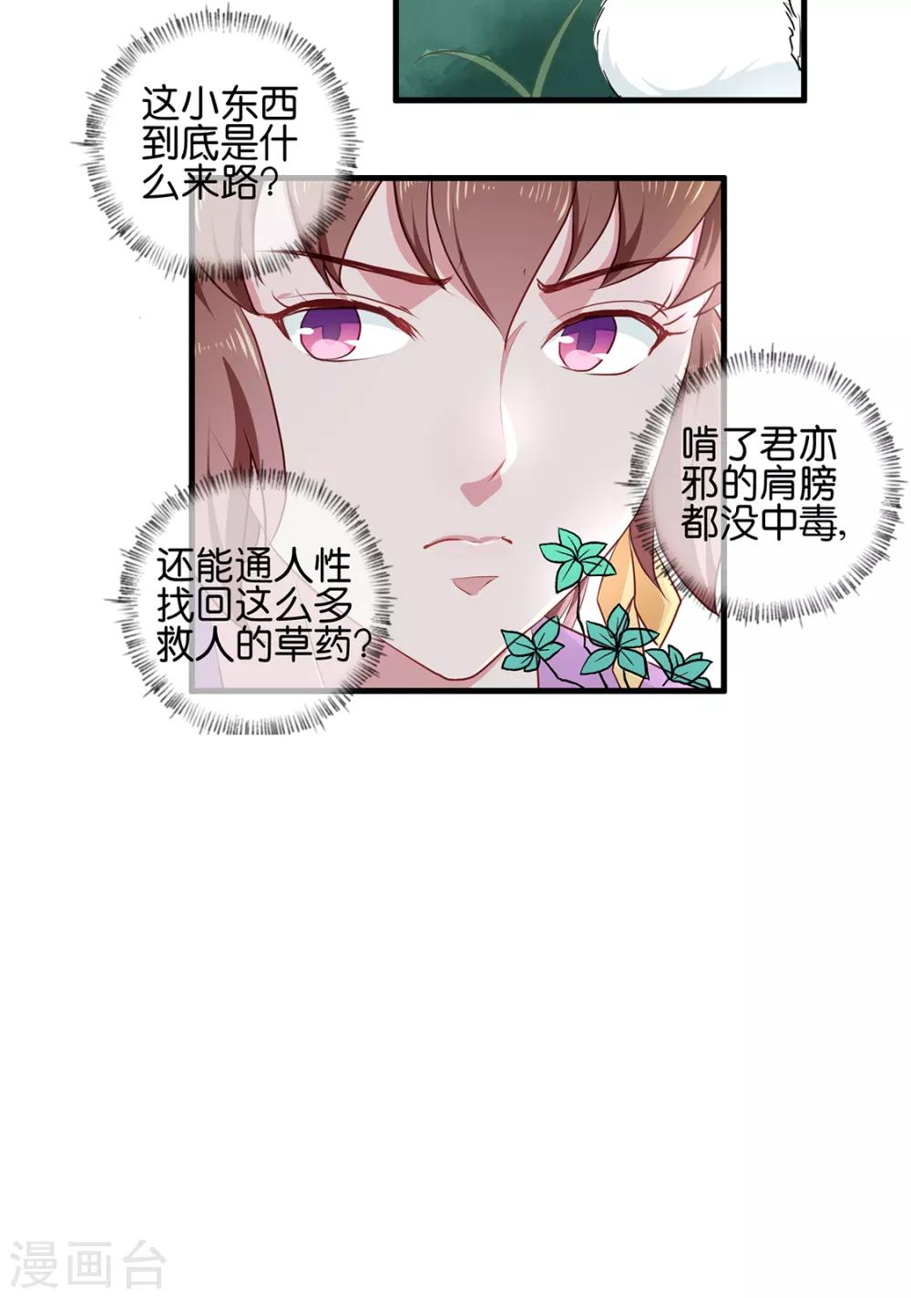 《天才小毒妃之芸汐传奇》第190话 搜捕秦王妃！ 第8页