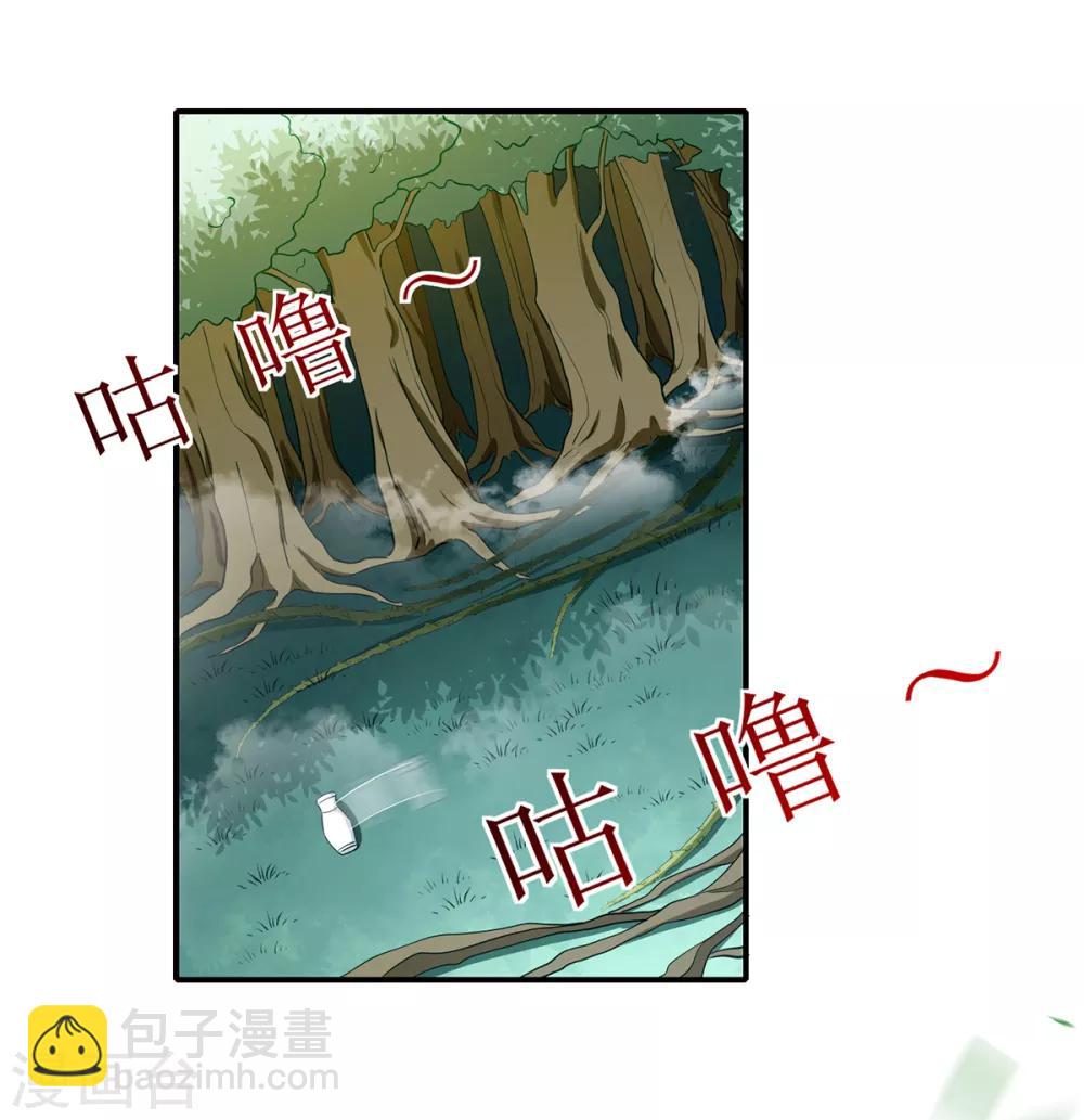《天才小毒妃之芸汐传奇》第197话 又见面了 第17页